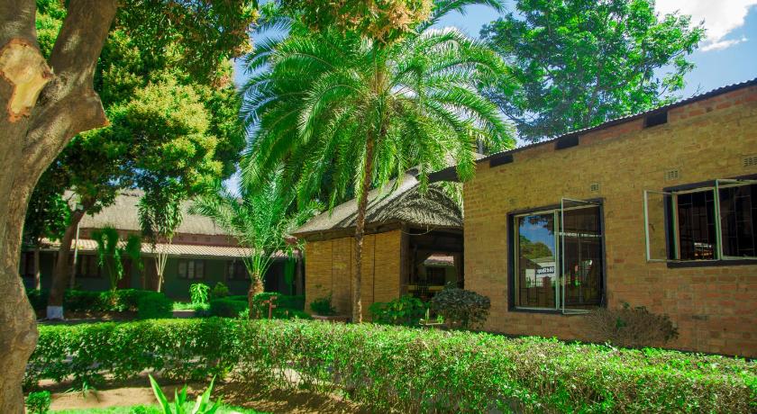 Фото Olga's the Italian Corner