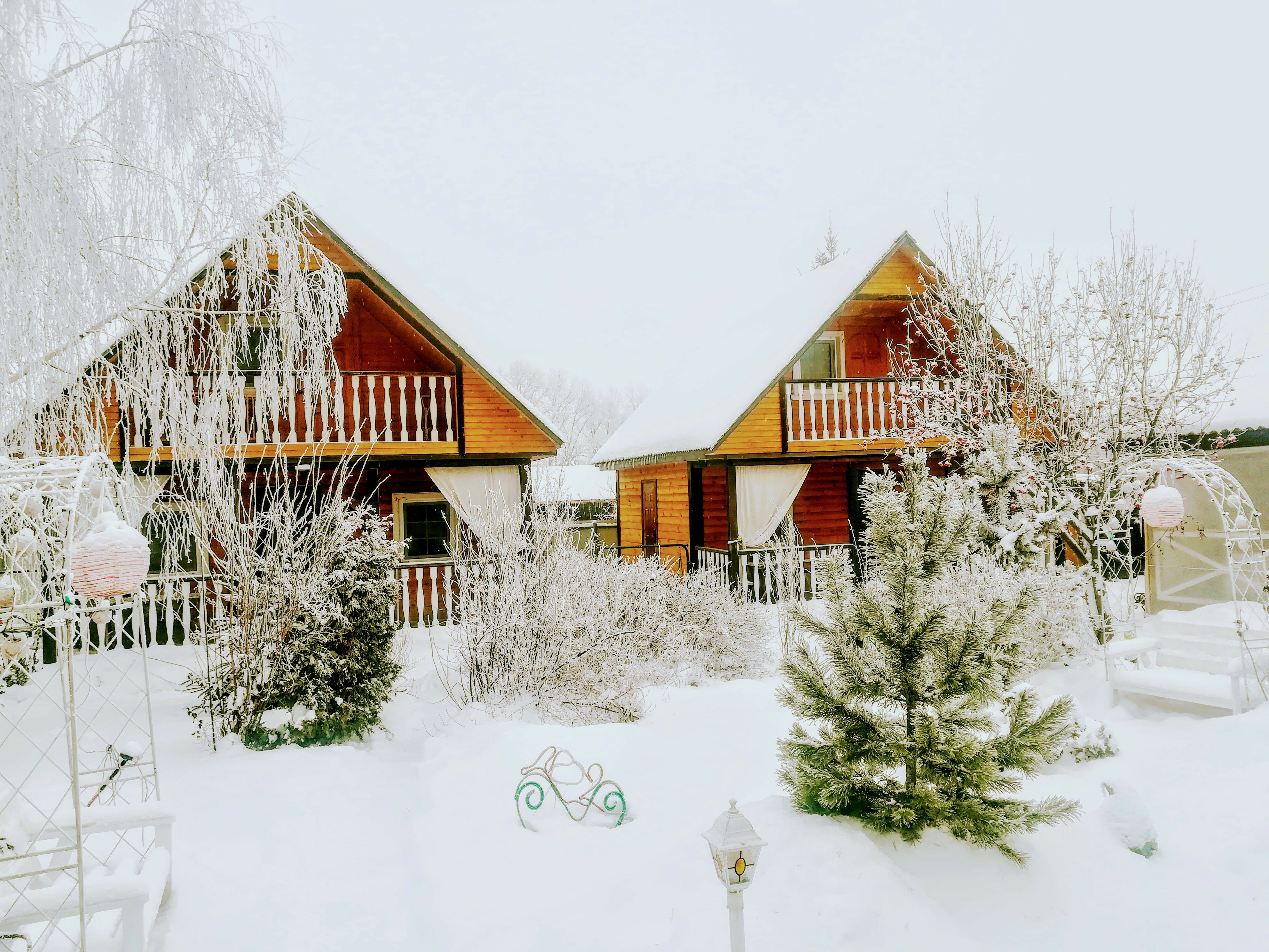 Фото ДомикиРадонеж