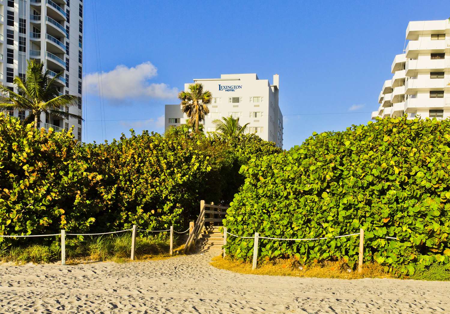 Фото Lexington by Hotel Rl Miami Beach