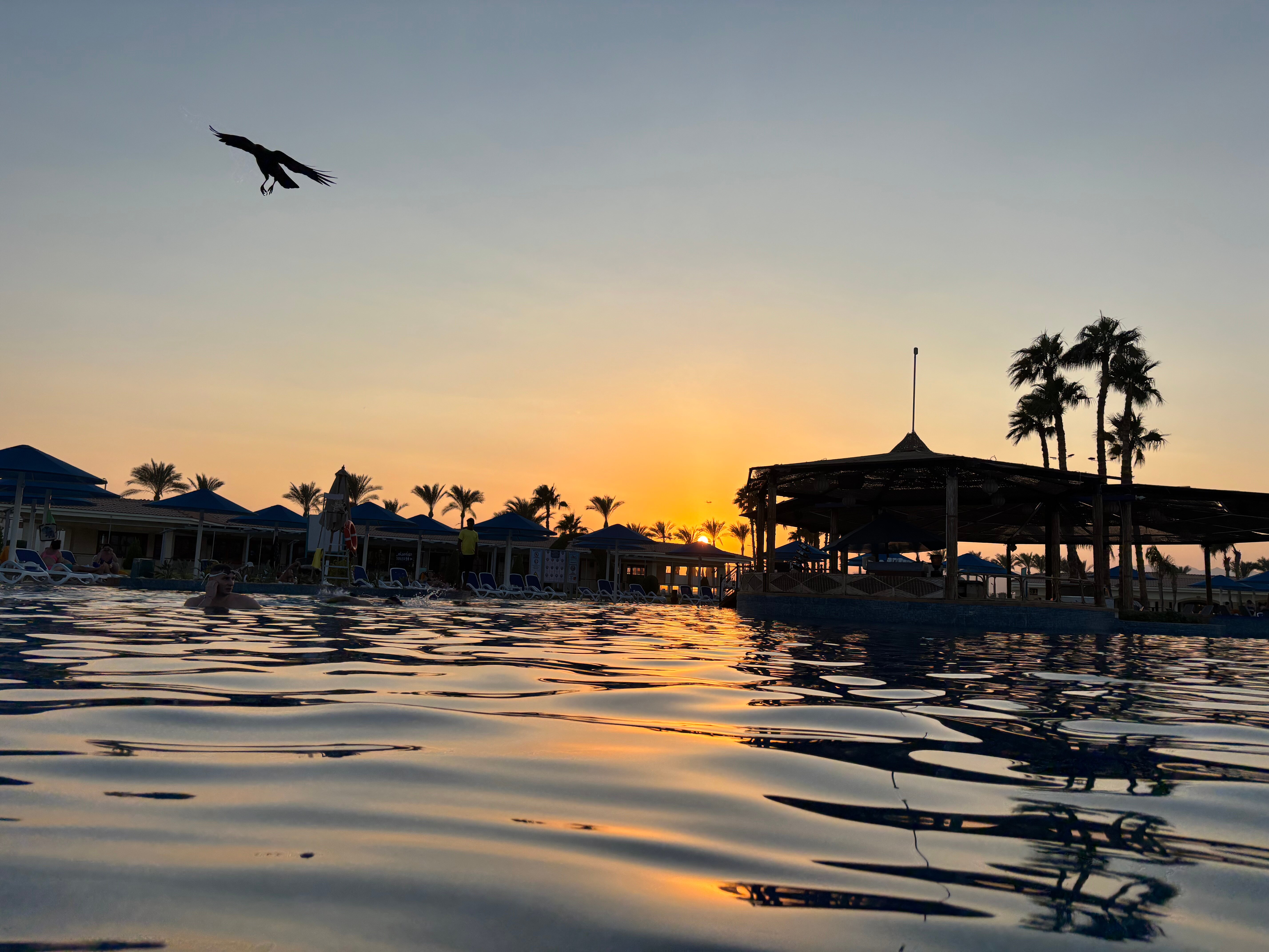 Фото Pickalbatros Golf Beach Resort