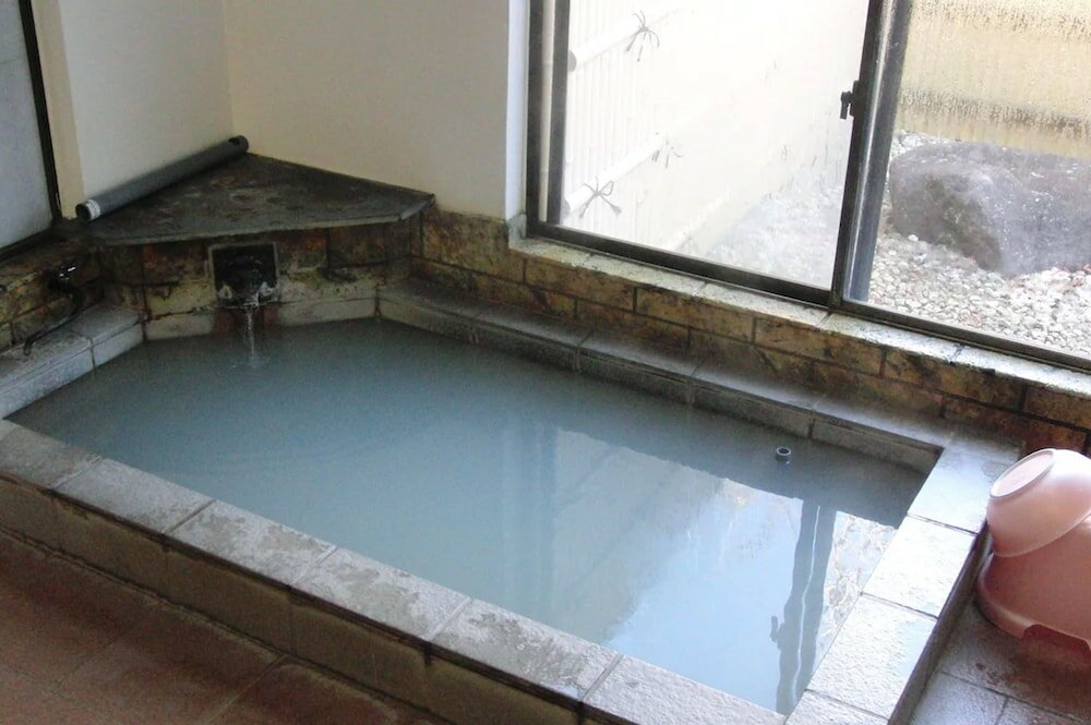 Фото Fuji-Hakone Guest House