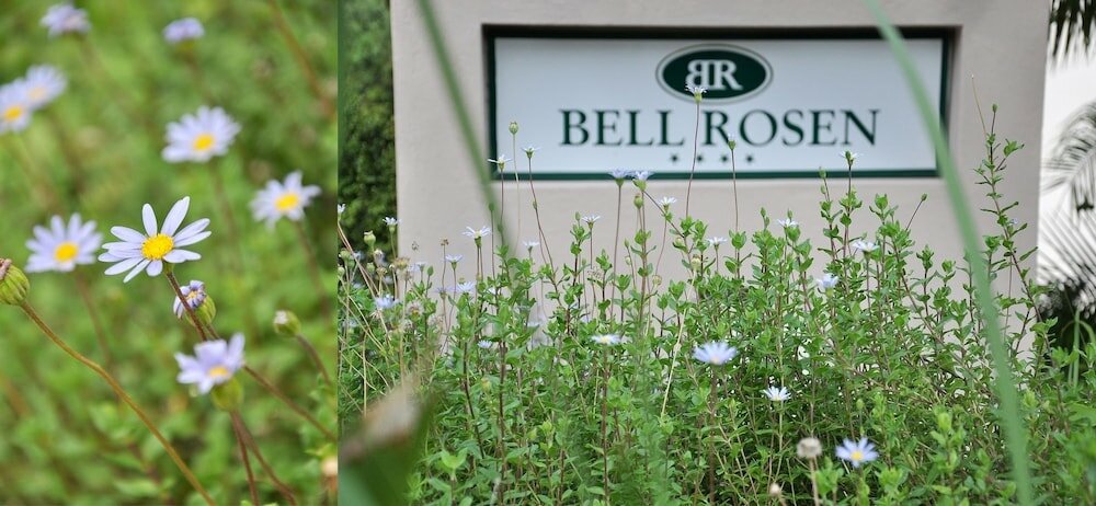 Фото Bell Rosen Guesthouse