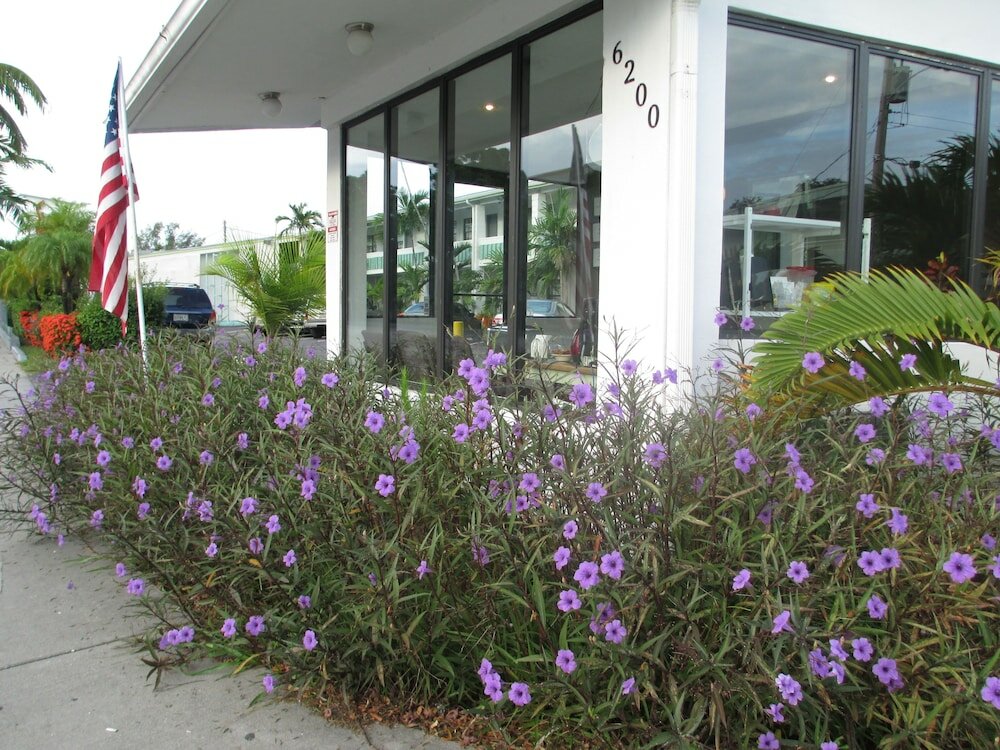 Фото Shalimar Motel