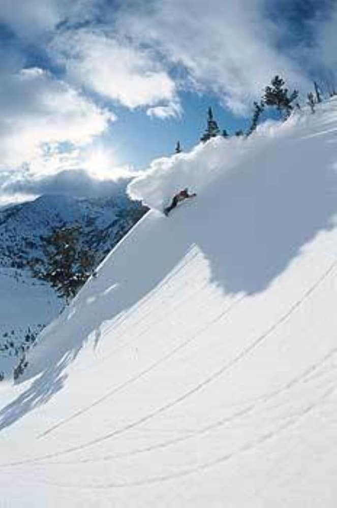 Фото Kimpton Hotel Born, an Ihg Hotel