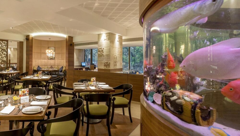 Фото The International by Tunga