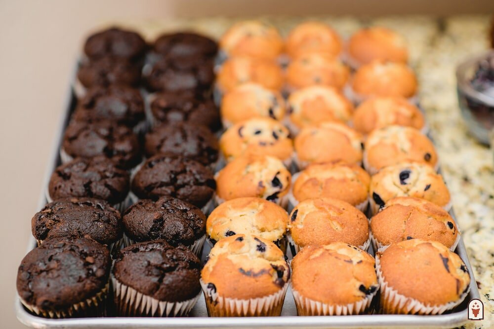 Фото Coyote South