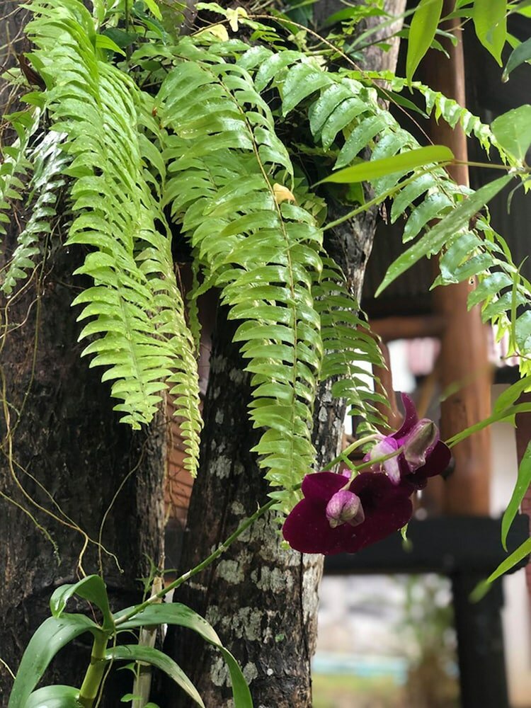 Фото Bounty Resort