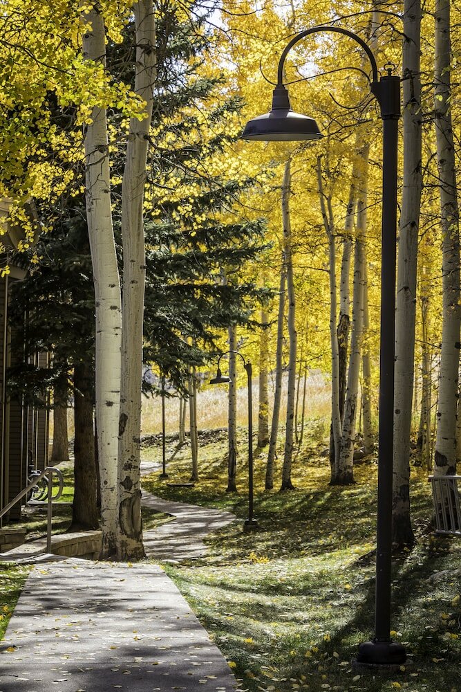 Фото The Timberline Condominiums