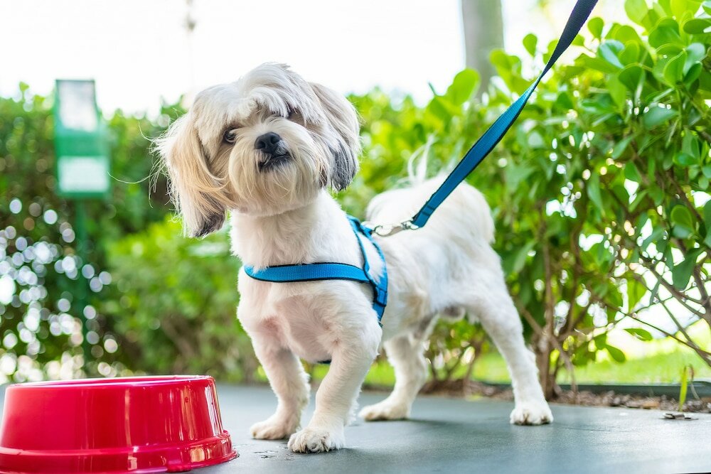 Фото Ibis Sorocaba