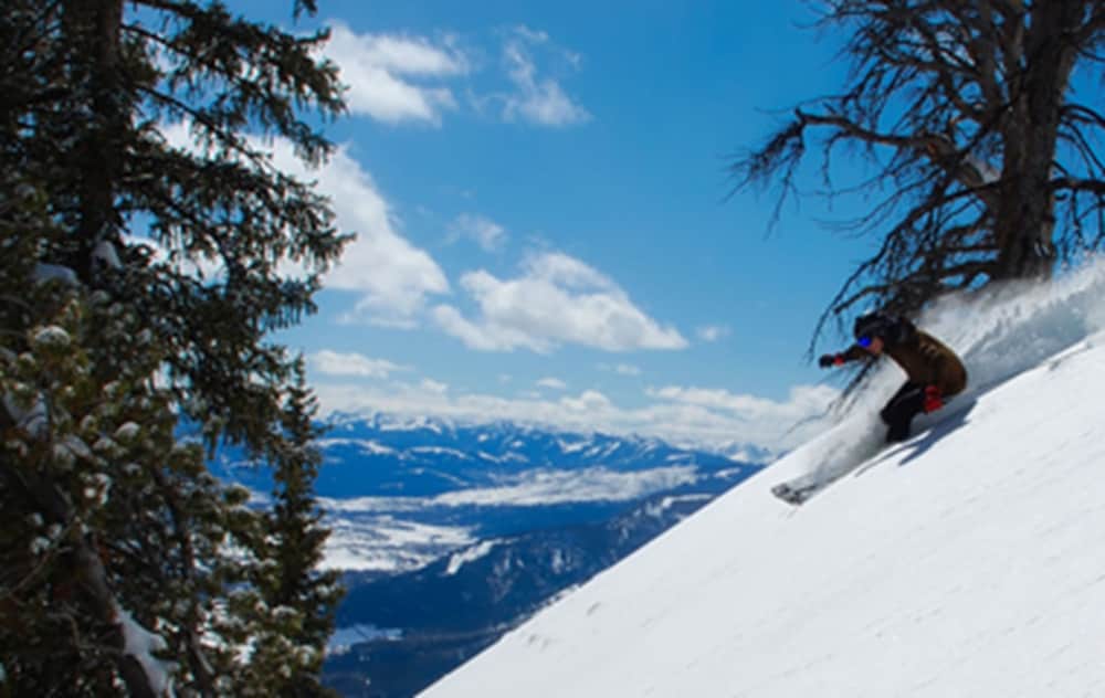 Фото Hotel Monaco