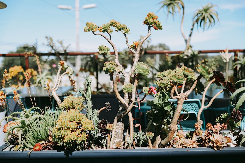 Фото Hotel 1110 - Adults Only