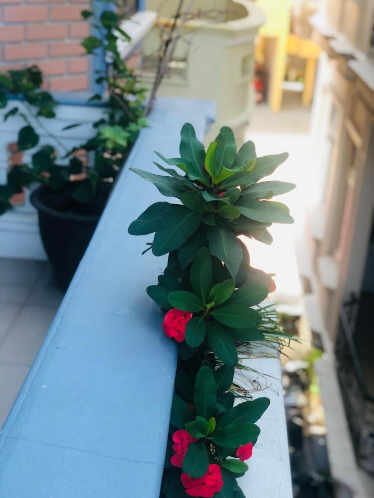 Фото Eva Homestay