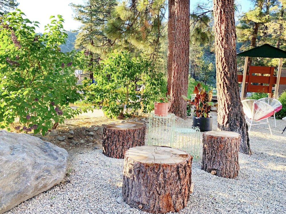 Фото Grand Pine Cabins