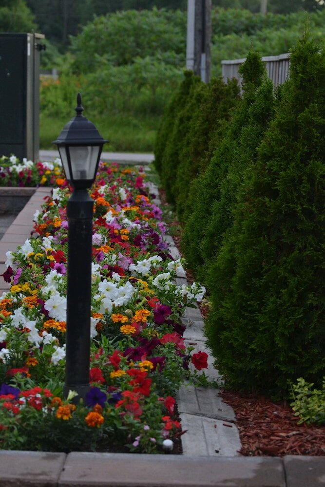 Фото Newmarket Inn