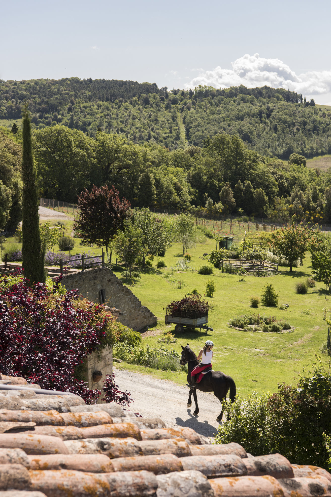 Фото Borgo Pignano