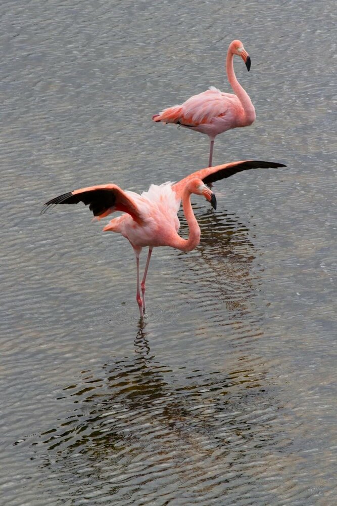 Фото El Paraiso de Isabela