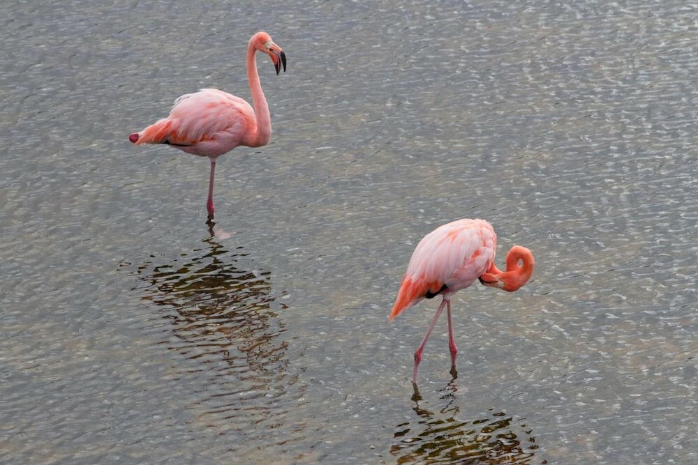 Фото El Paraiso de Isabela