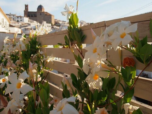 Внешний вид отеля Hotel Ábaco Altea в Альтее, фото 5