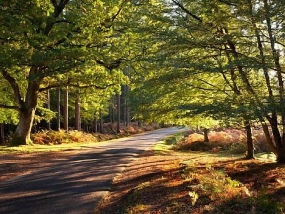 Фото Beddoe Apartments