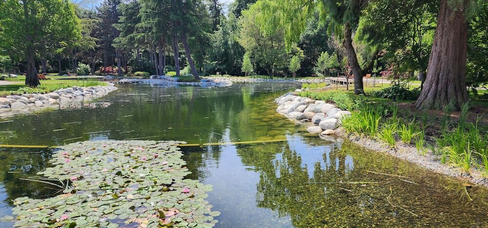 Фото SureStay by Best Western Richmond Vancouver Airport