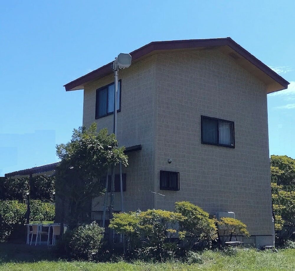 Фото Lupinus Kawaguchiko