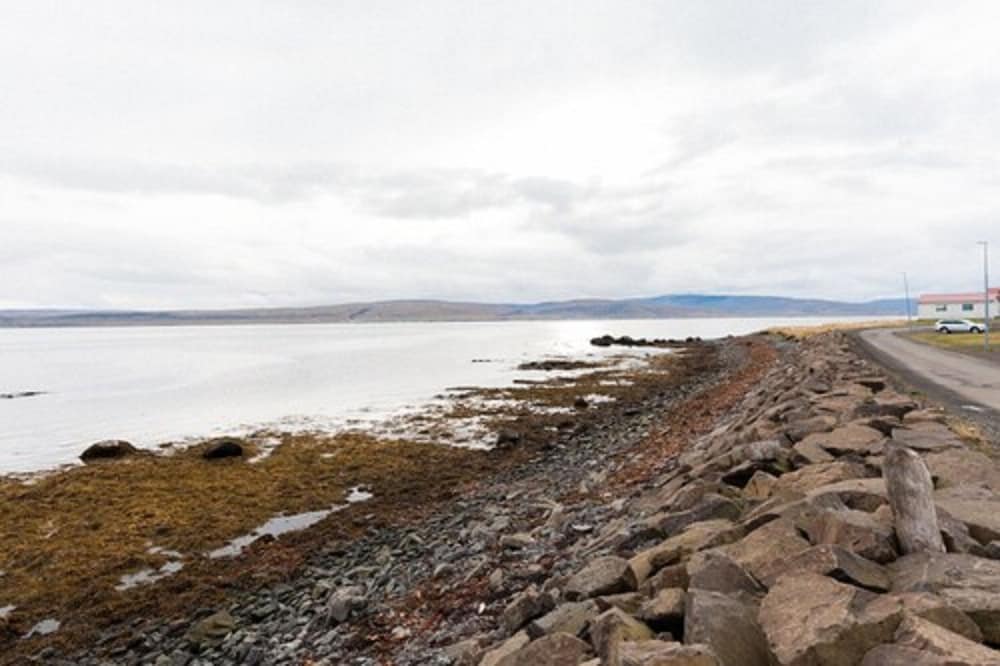 Фото Malarhorn Guesthouse