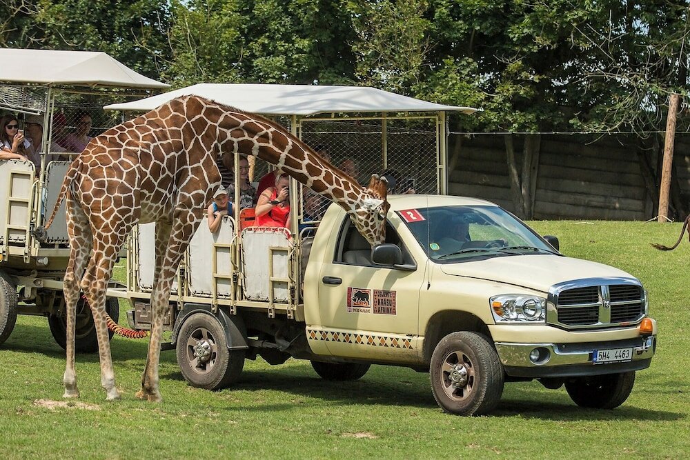 Фото Hotel Horizont