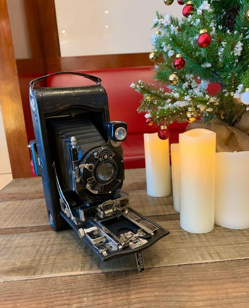 Фото Hotel Mimosa