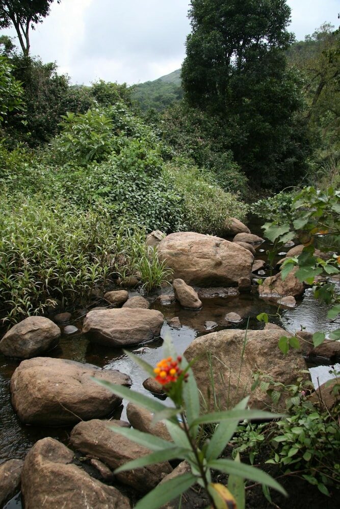 Фото Elephant Valley