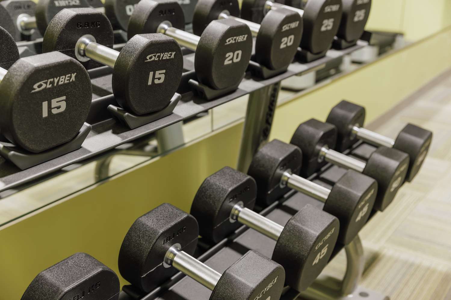 Фото Hotel Trilogy Albany Airport, Tapestry Collection by Hilton