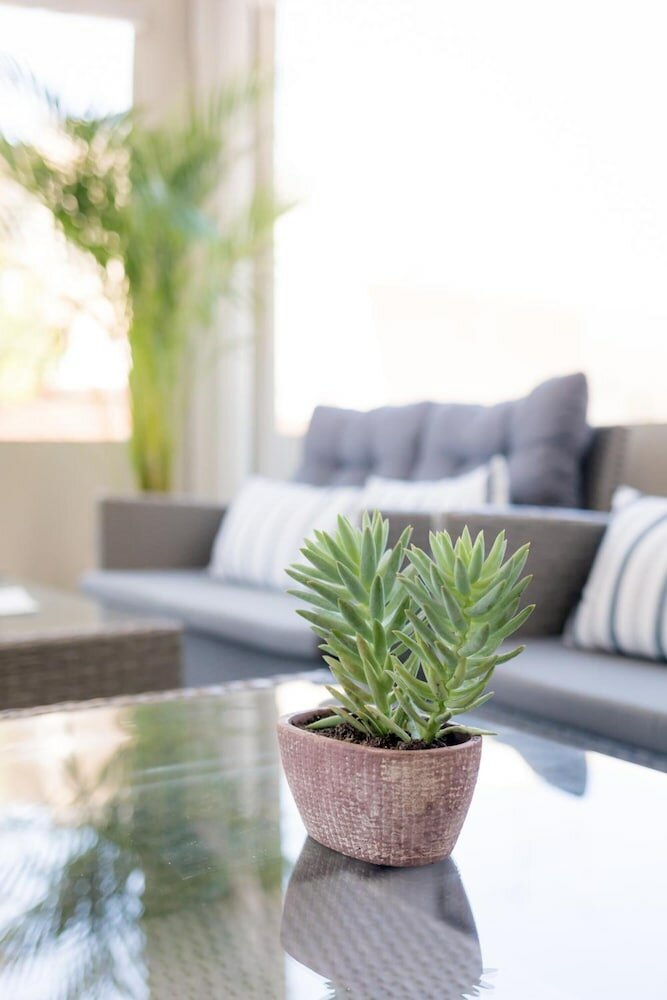 Фото Mikes Kanarium Hotel