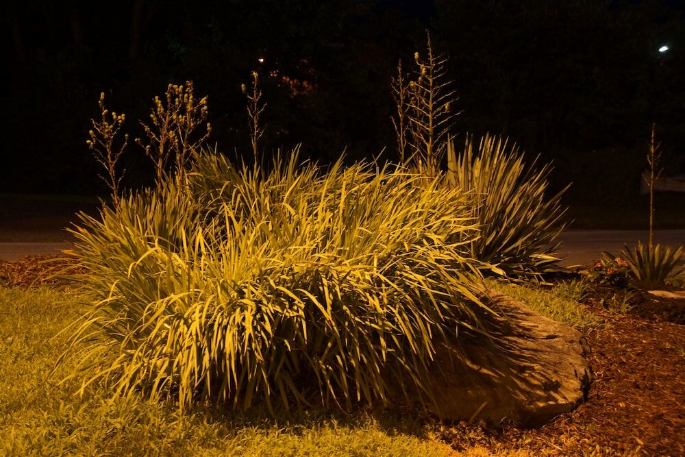 Фото Super 8 by Wyndham Delmont