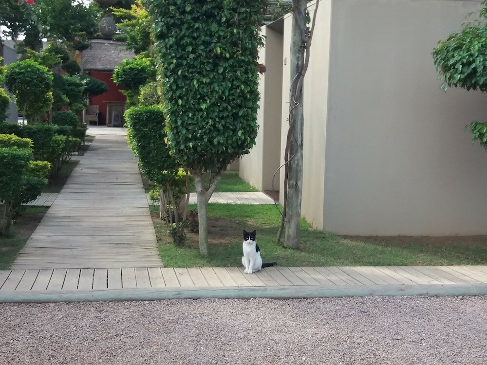 Фото Liv Inn Guest House