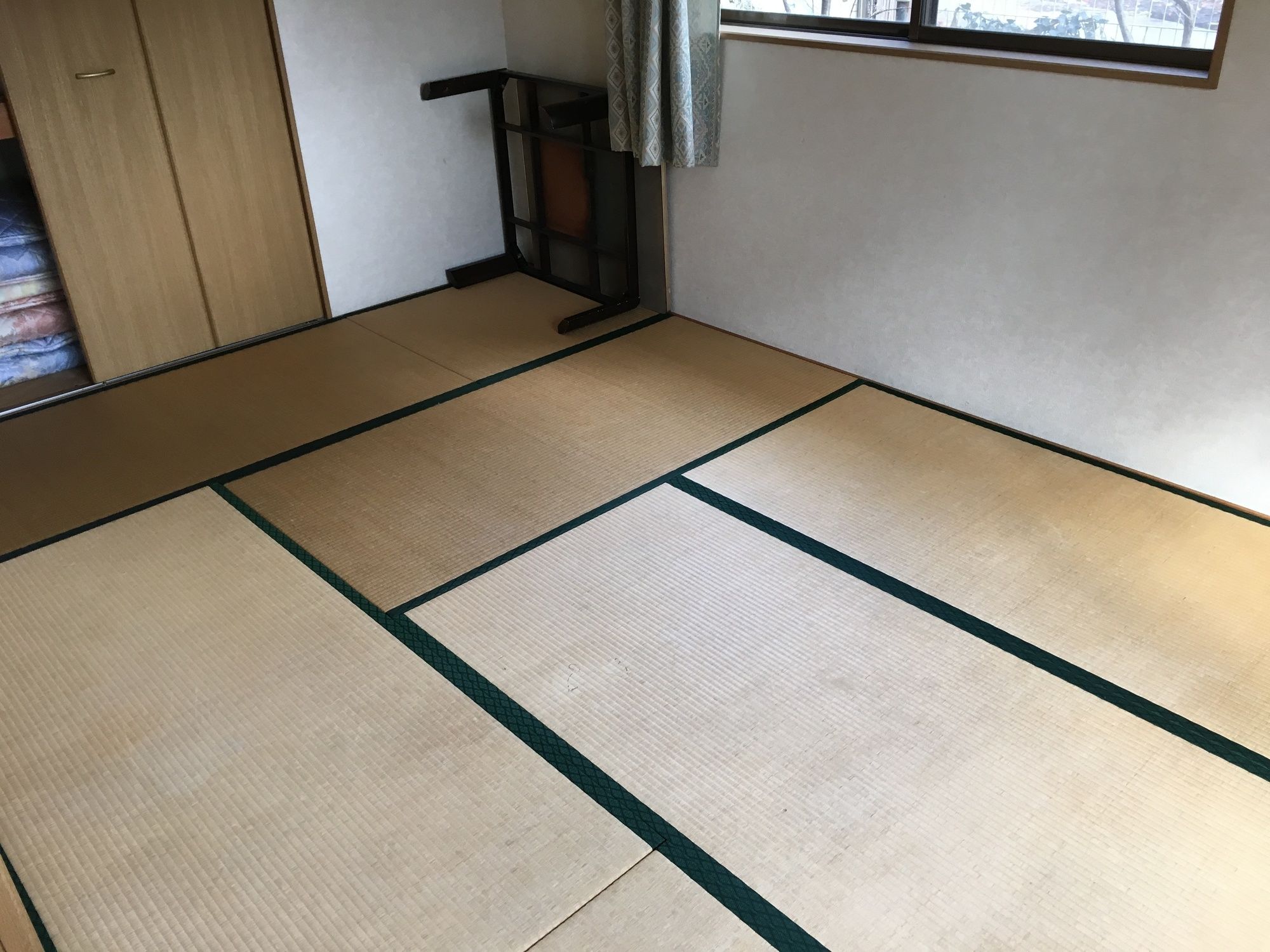 Фото Lupinus Kawaguchiko