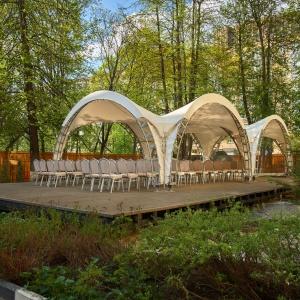 Фото Луна и Лотос