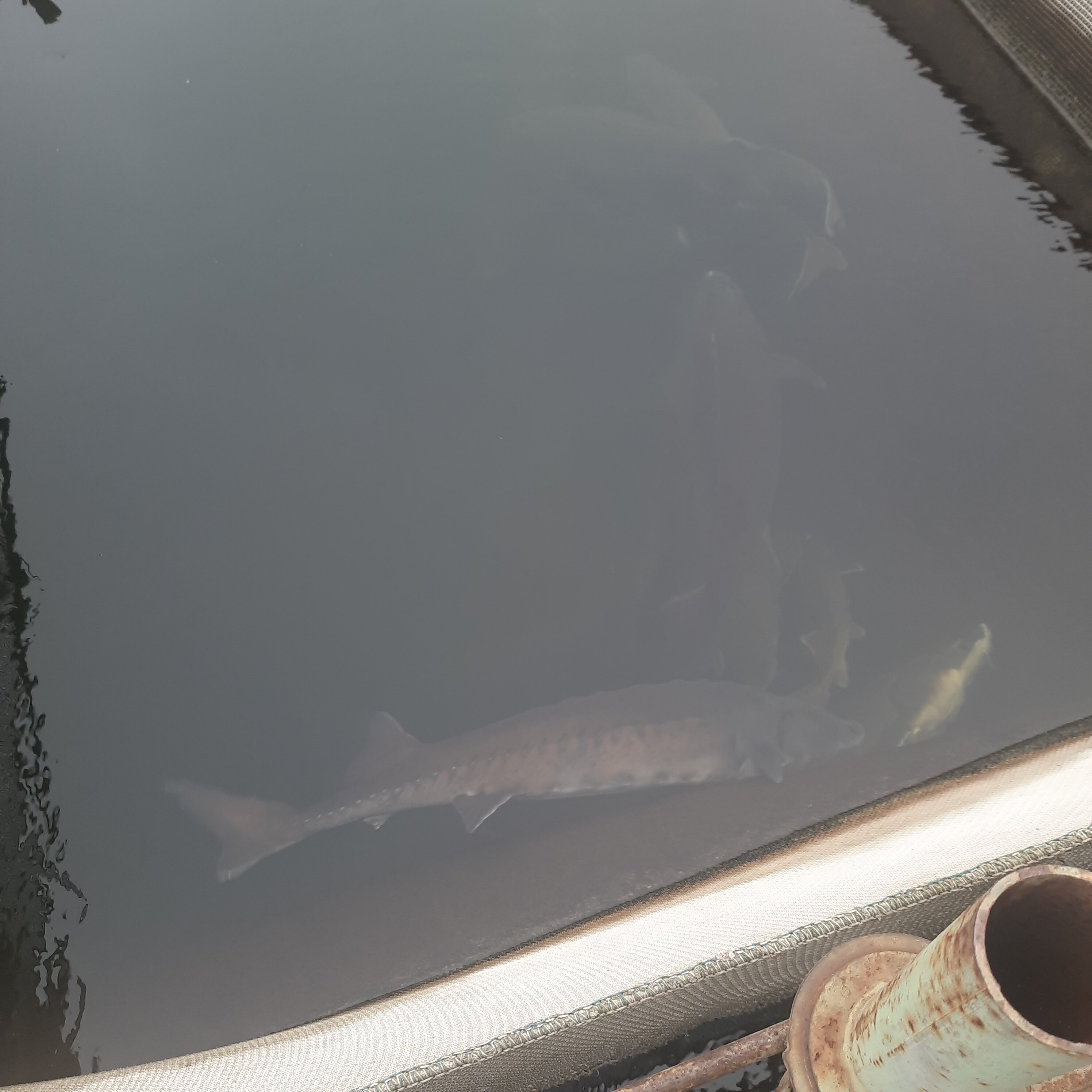 Фото Лукоморье