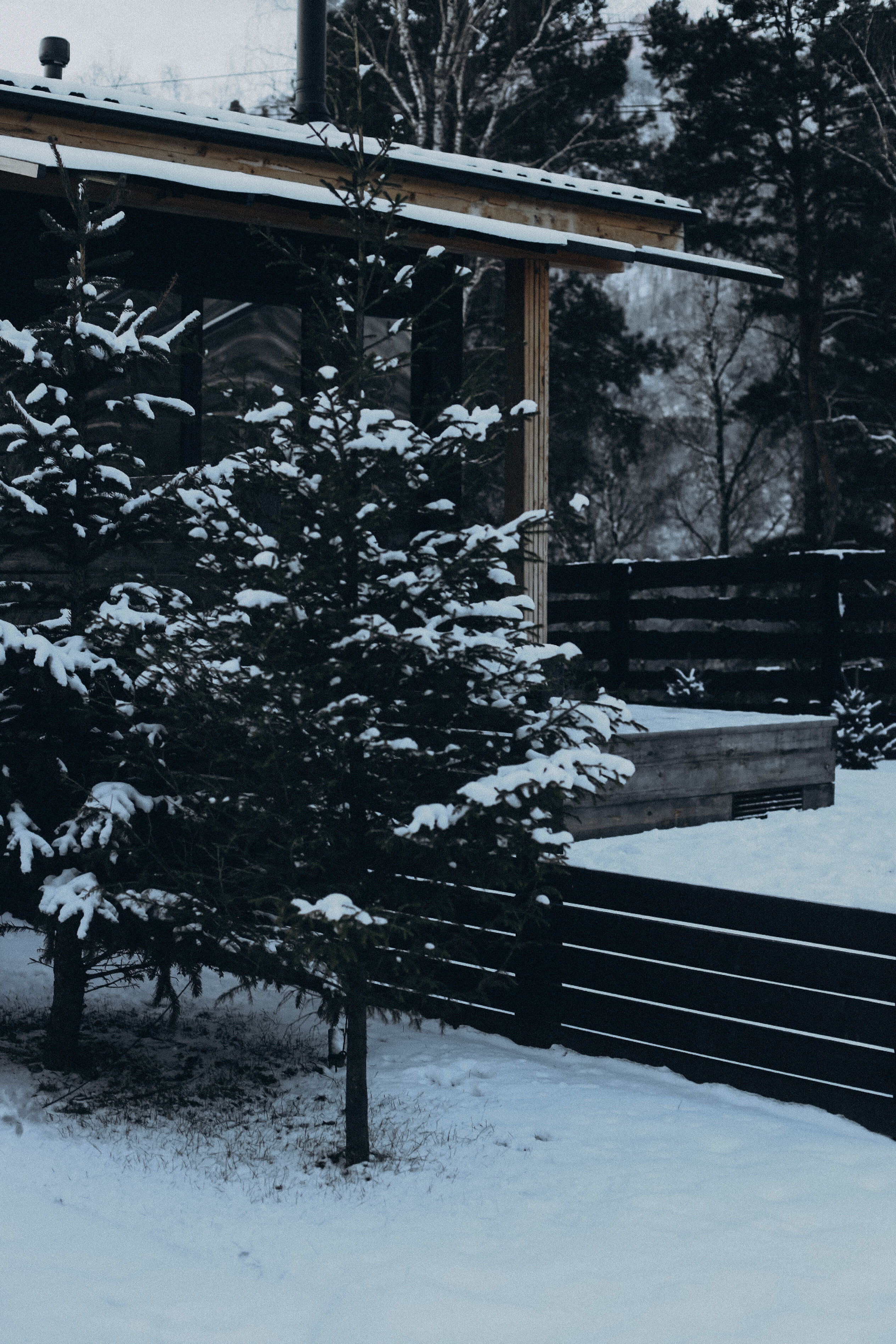 Фото Альпака