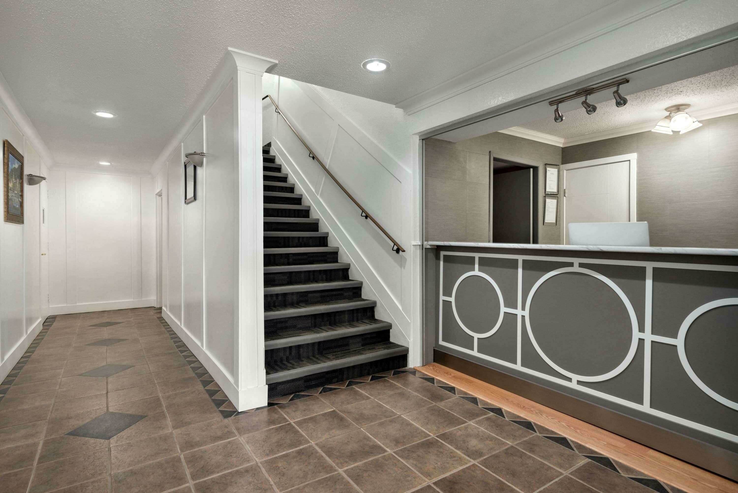 Фото 241553819836