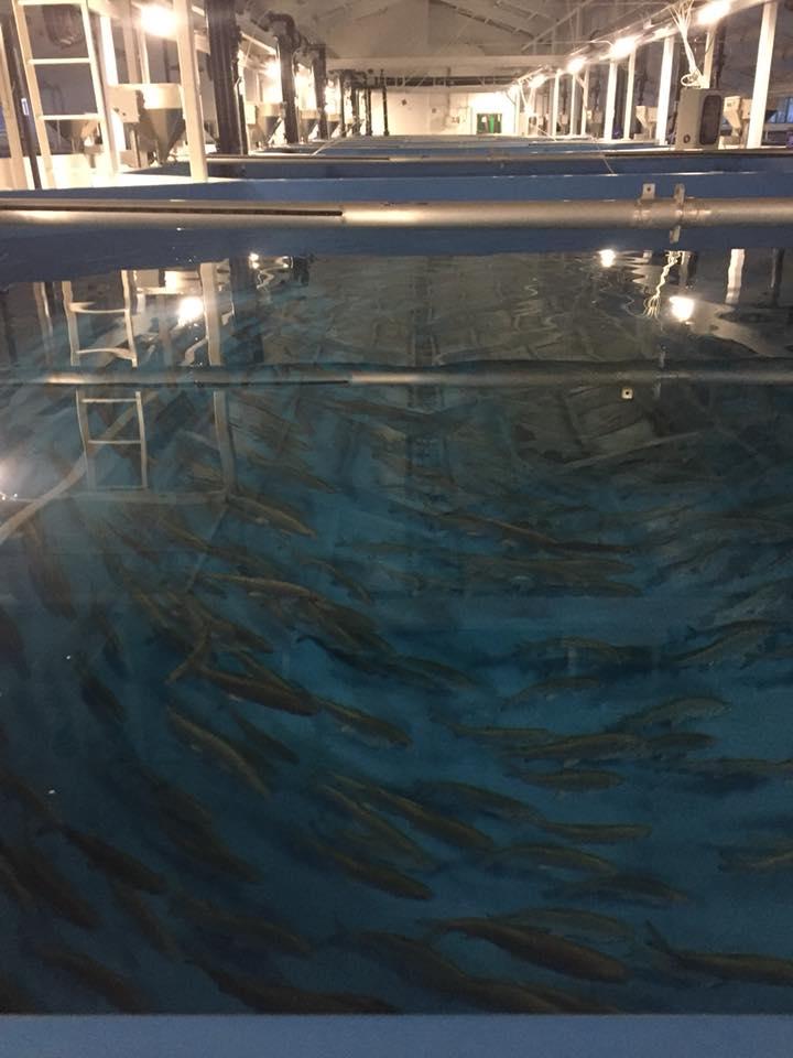 Фото Юрибей