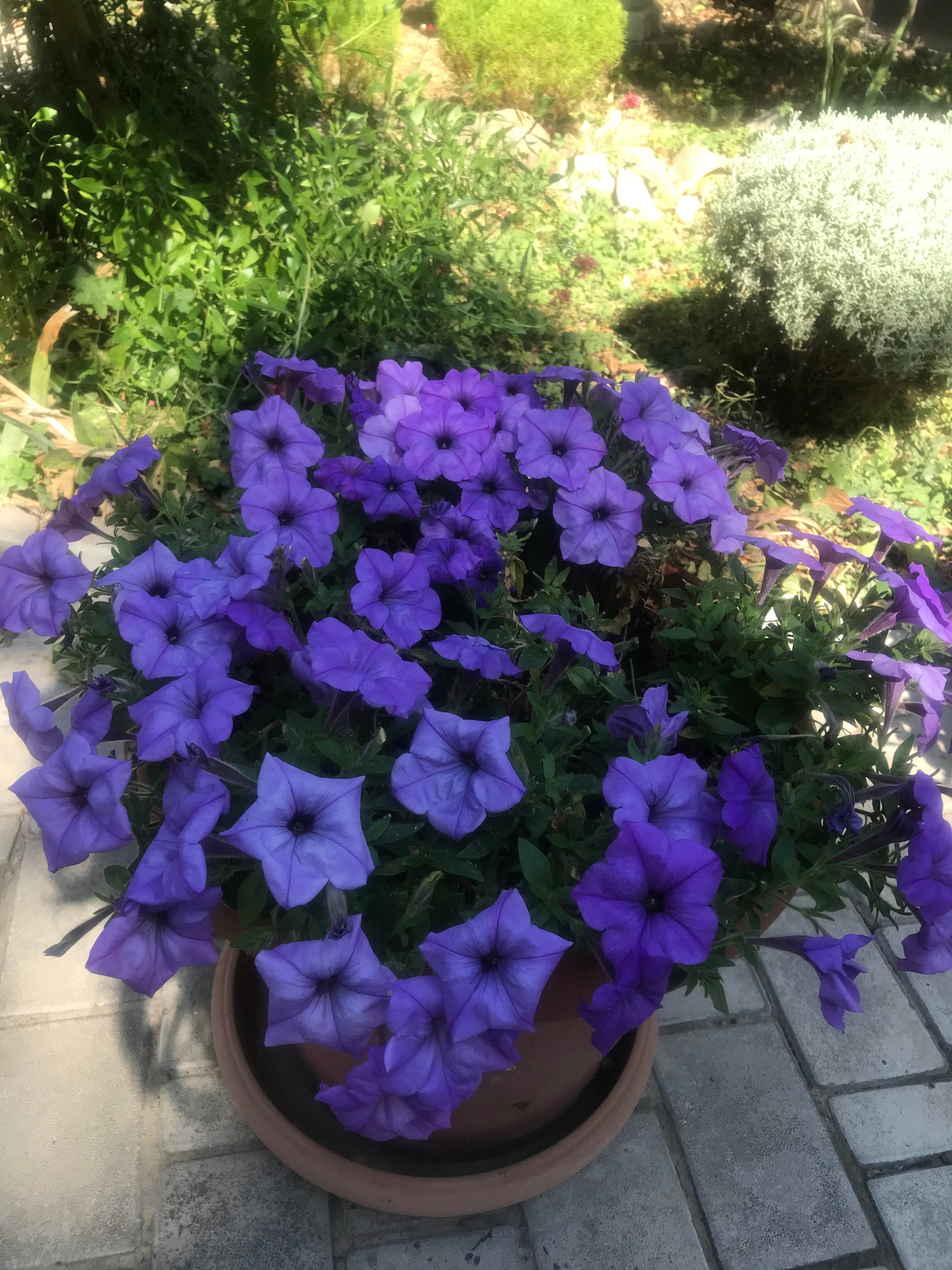 Фото Гостевой дом Прекрасная гавань