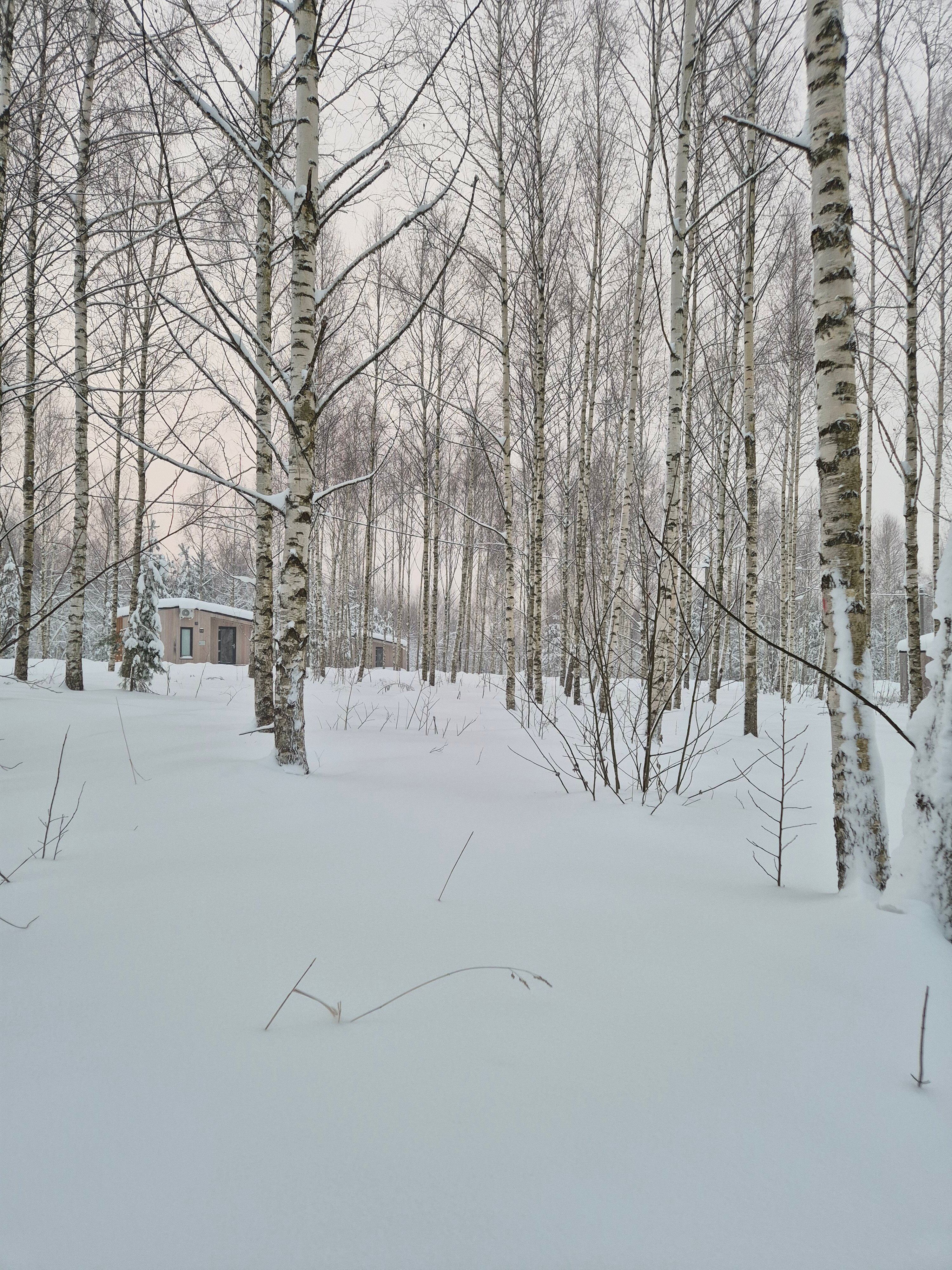 Фото Экополис