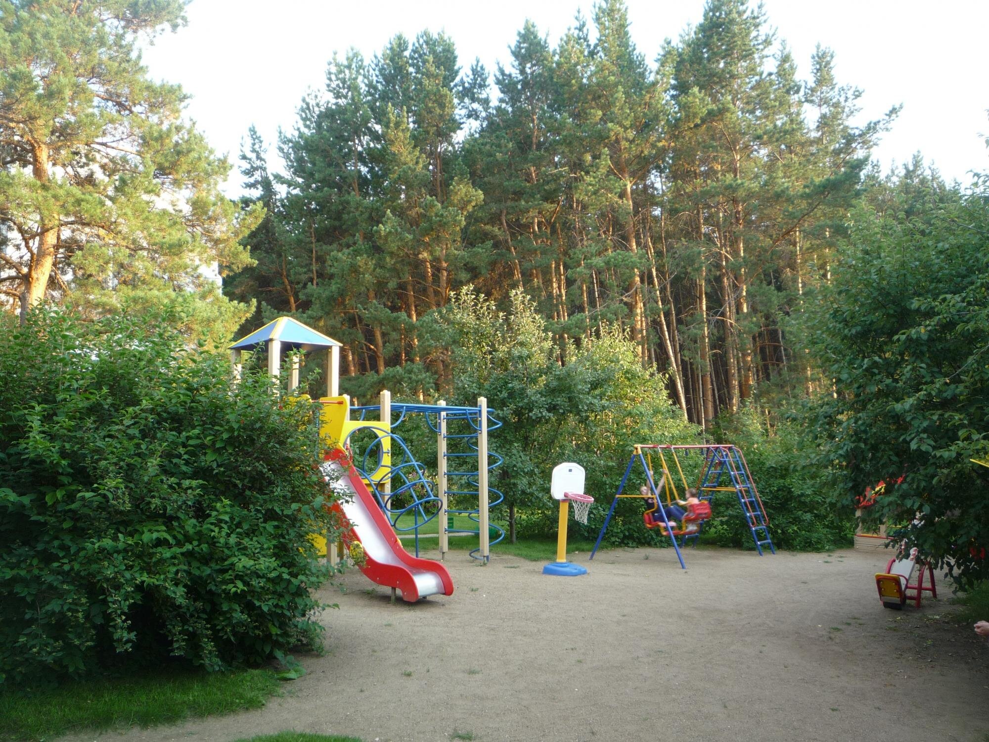 Фото Еловое