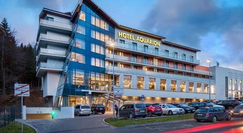 Гостиница Hotel Aquarion Family & Friends в Закопане