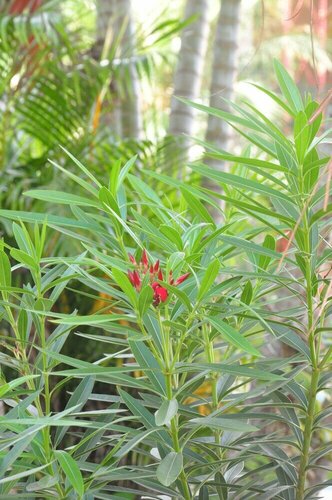 Гостиница Pousada E Agencia Serra Azul в Штате Мату-Гросу