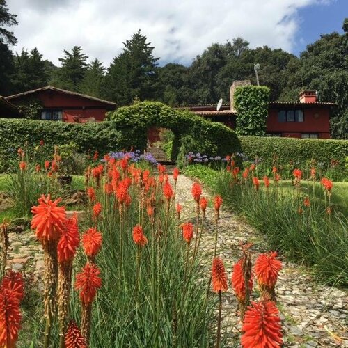 Гостиница Rancho Yapalpan в Штате Мехико