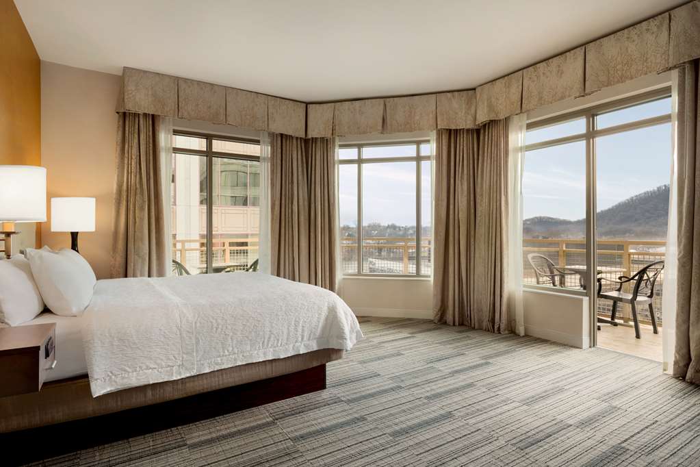 Фото Hampton Inn & Suites Roanoke-Downtown