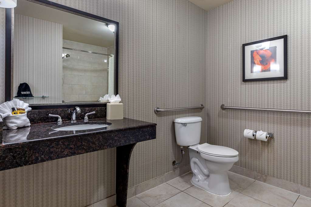Фото Best Western Plus Dfw Airport West Euless