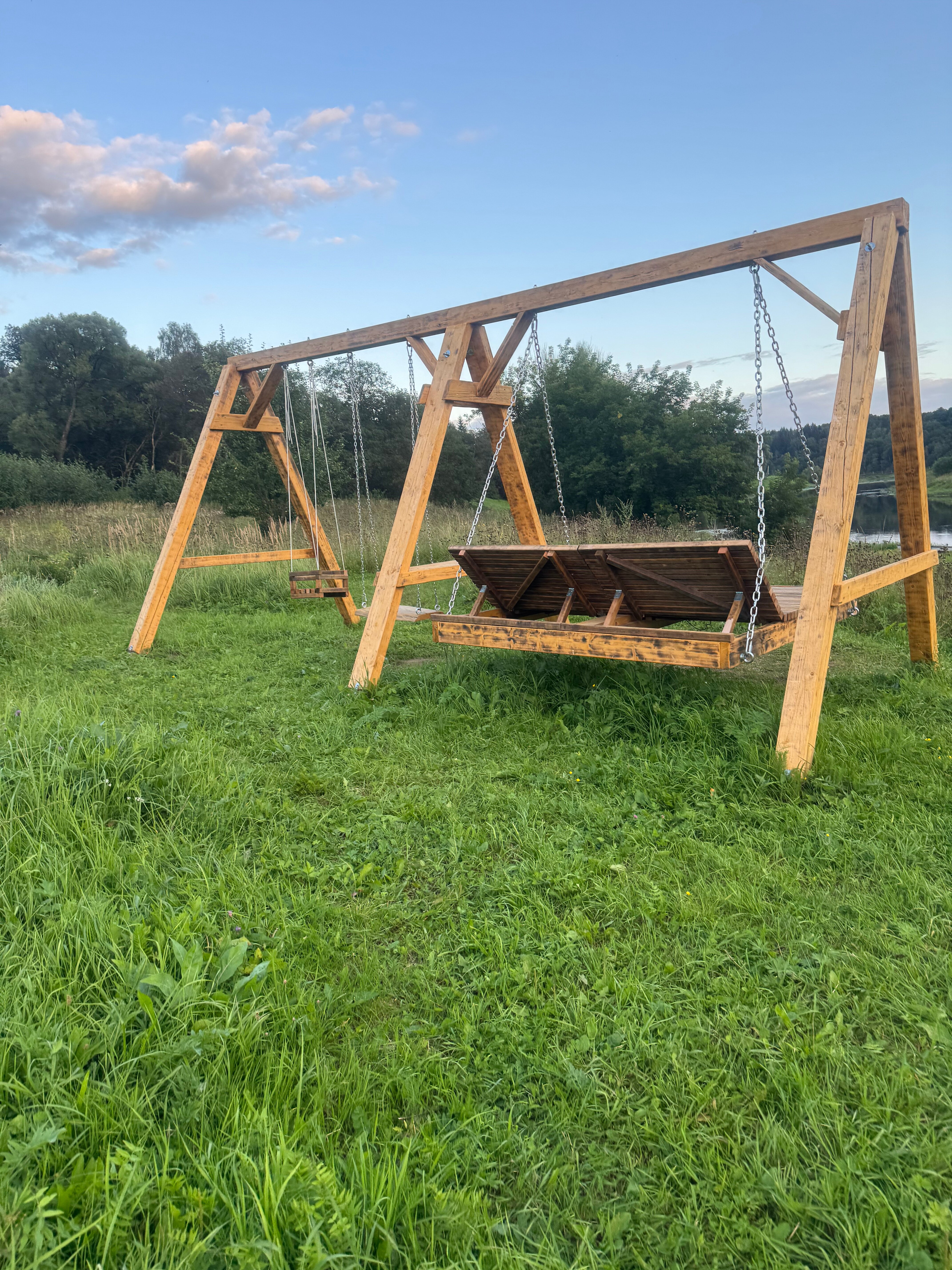 Фото Веселые гуси