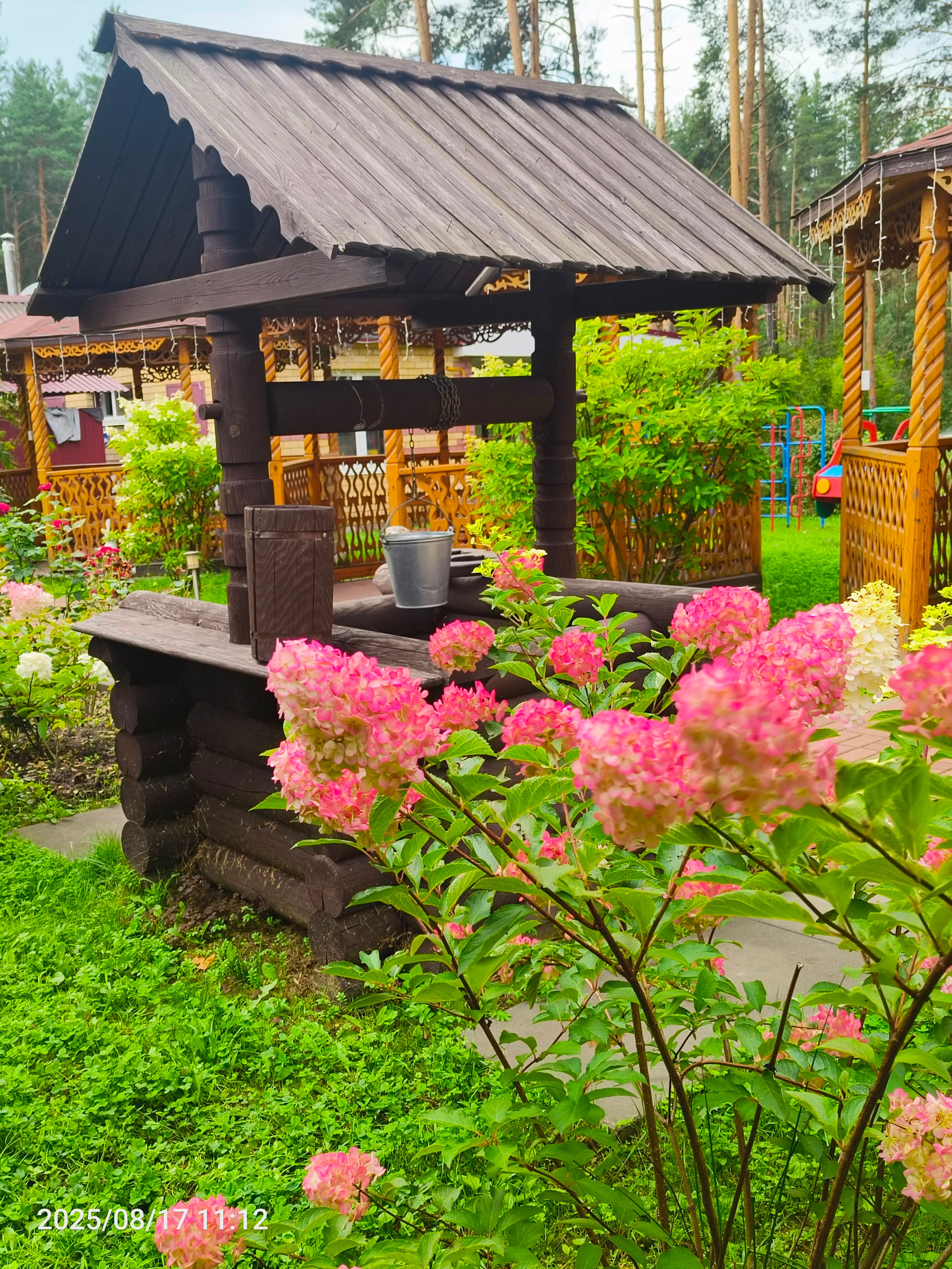 Фото Беркут