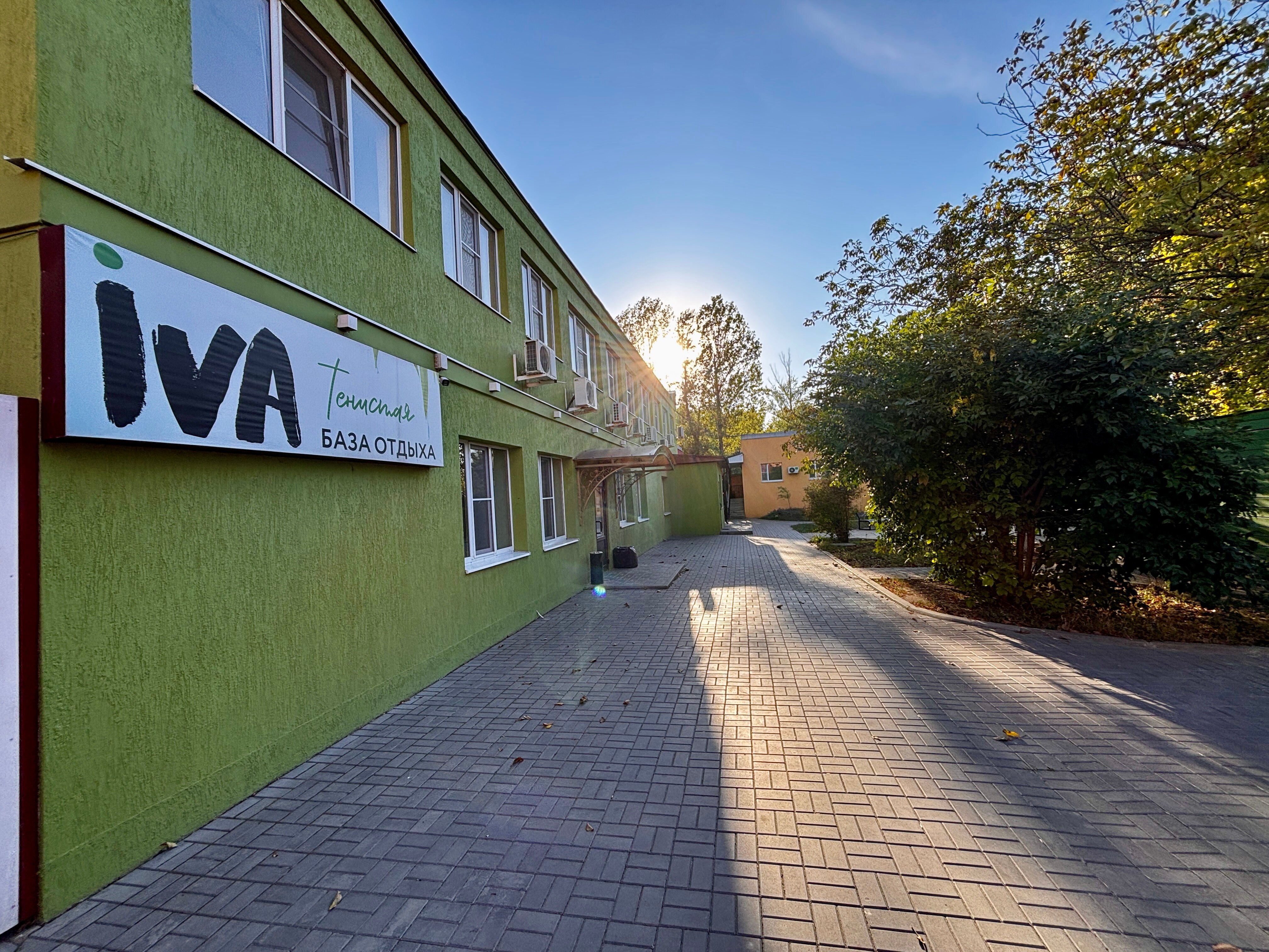 Фото Iva тенистая